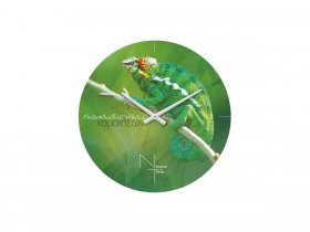 Часы настенные Nicole Time NT503 в Беркаките - berkakit.mebel-nsk.ru | фото